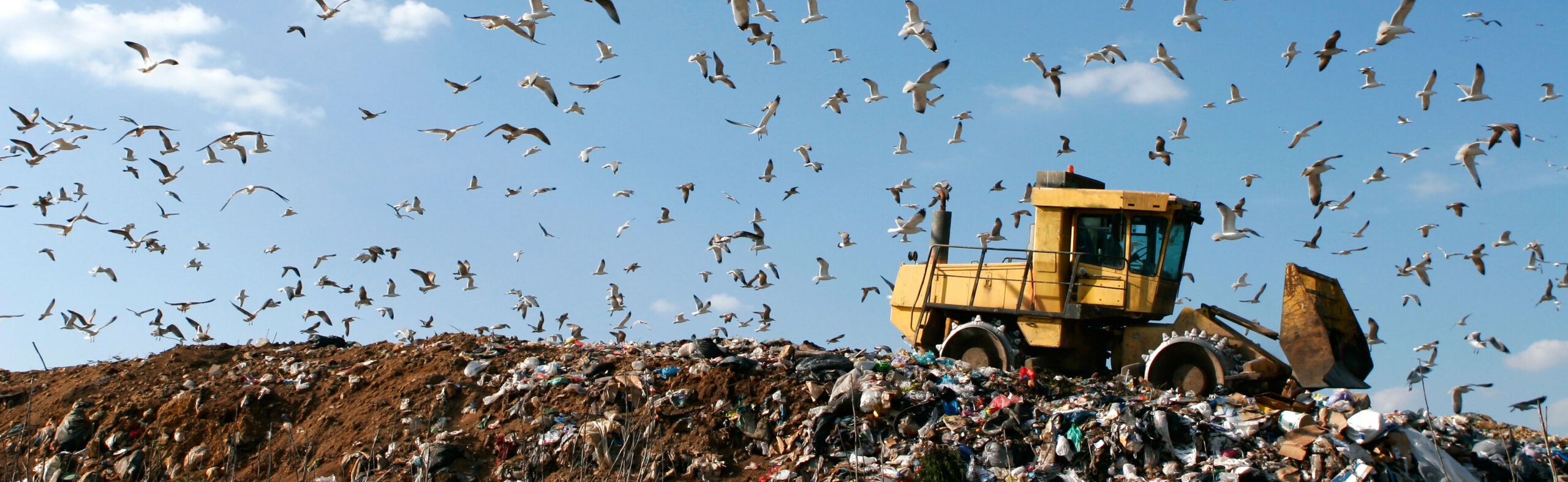 Landfill tax increases raise fraud risk