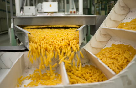 Food Processing and Food Production