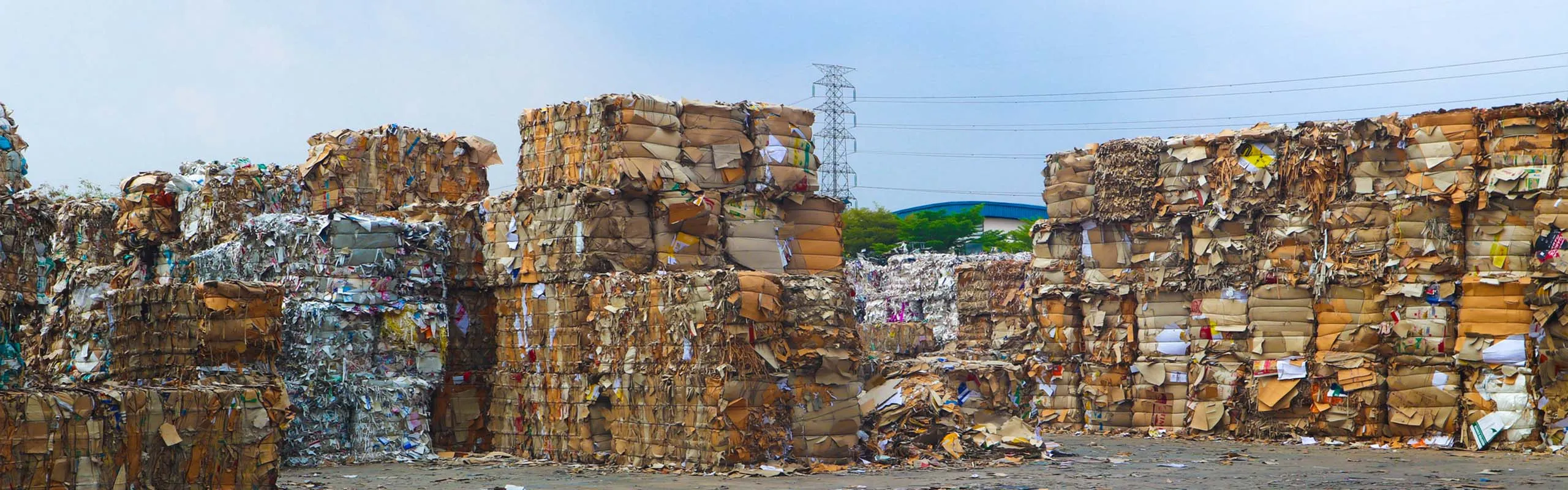 Stacked bales of compressed cardboard or paper at an outdoor recycling yard