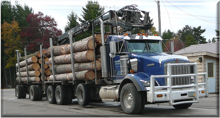 Lumber Company Expedites Shipping Procedures