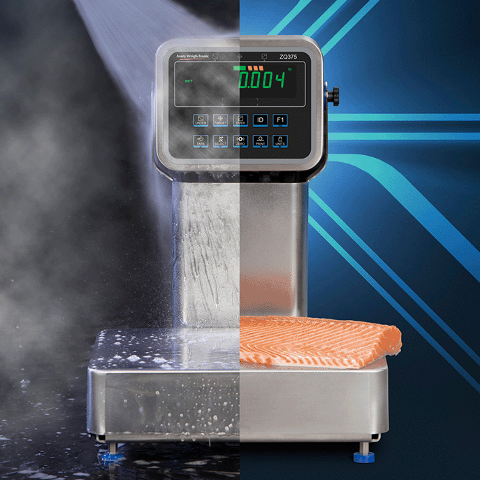 Checkweigher Display Technology for Faster Throughput