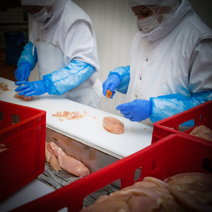 Checkweighing & Quality Control Systems | Avery Weigh-Tronix